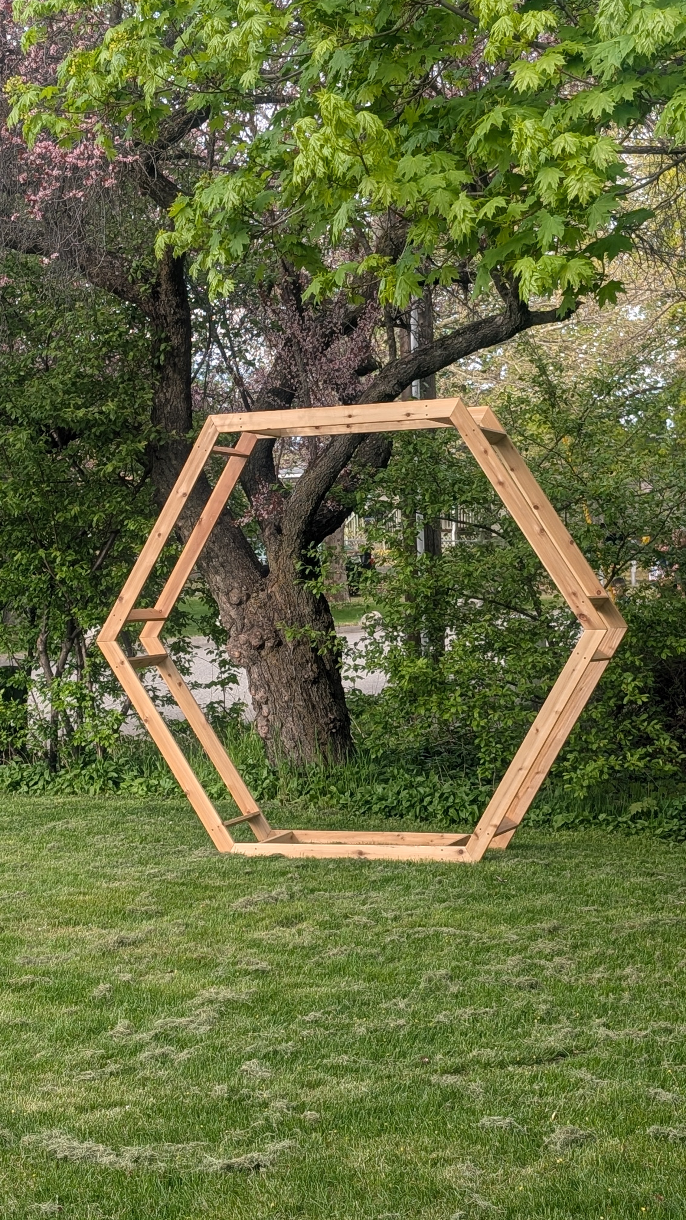 RENTAL - hexagon arch