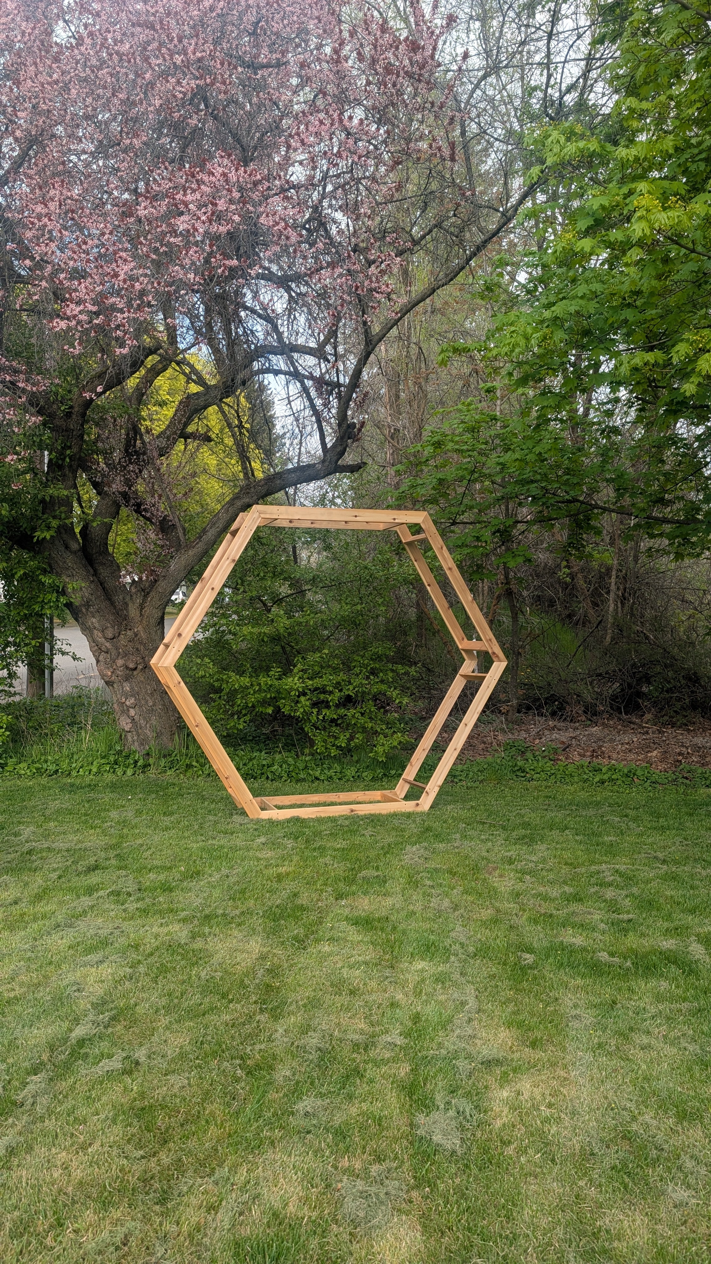RENTAL - hexagon arch