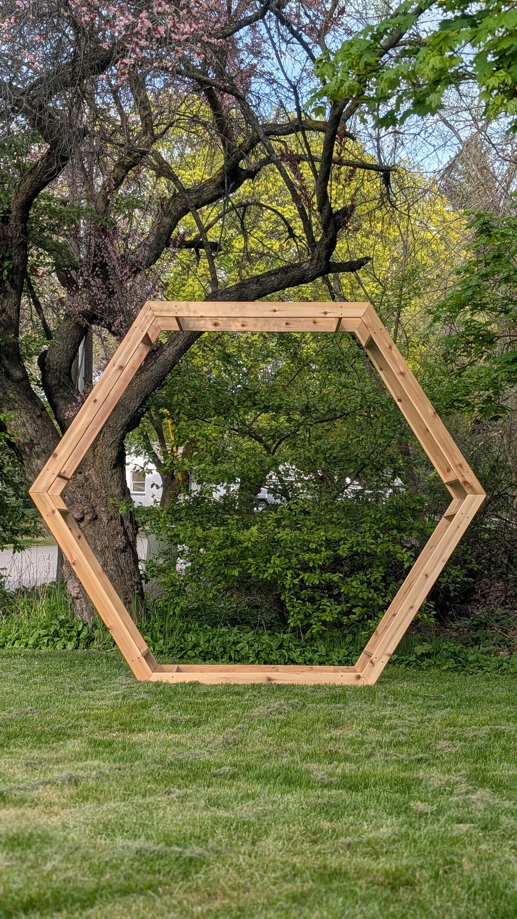 RENTAL - hexagon arch