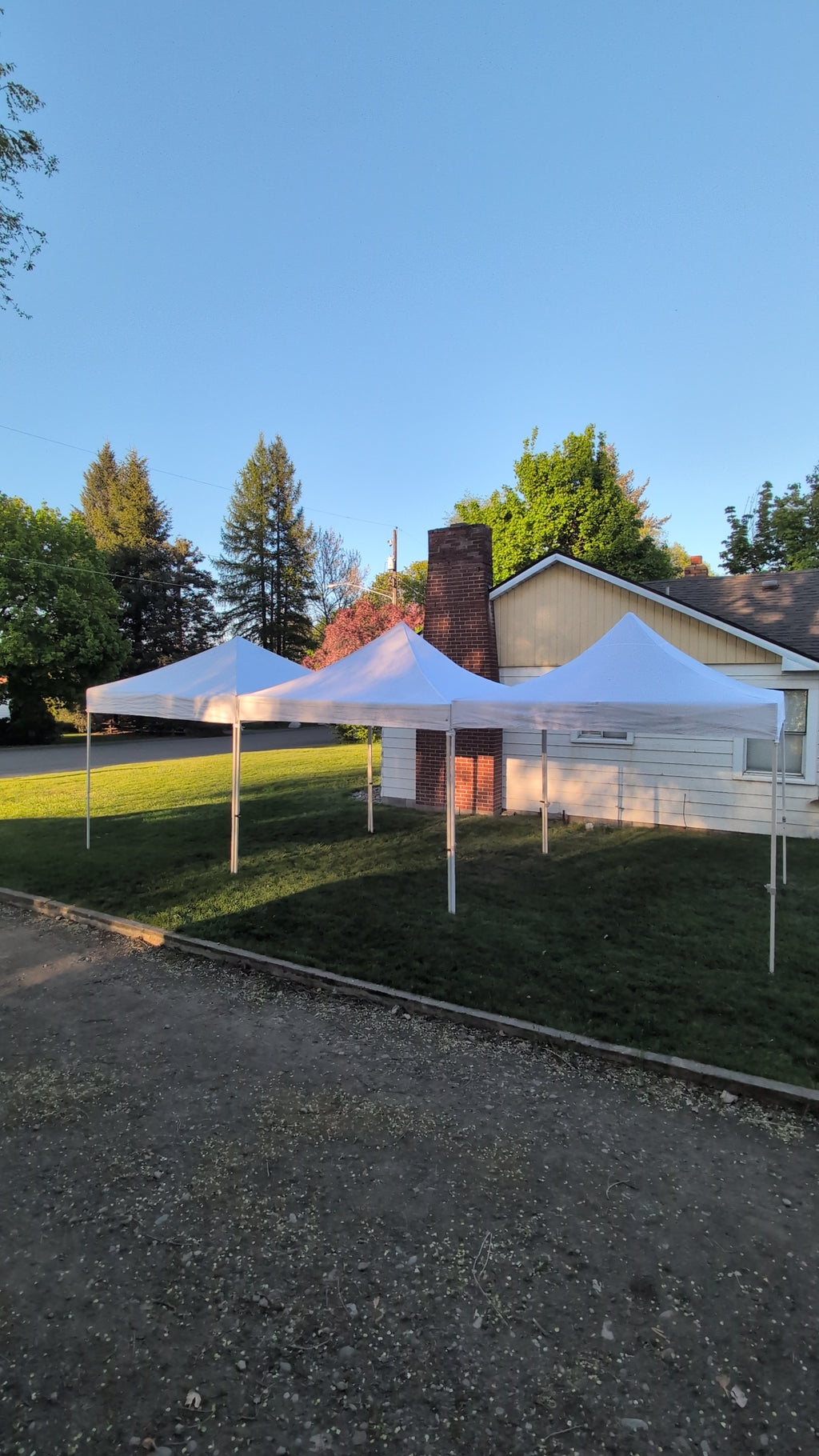 RENTAL - TENT - Canopy 10x10 (Without Side Walls)