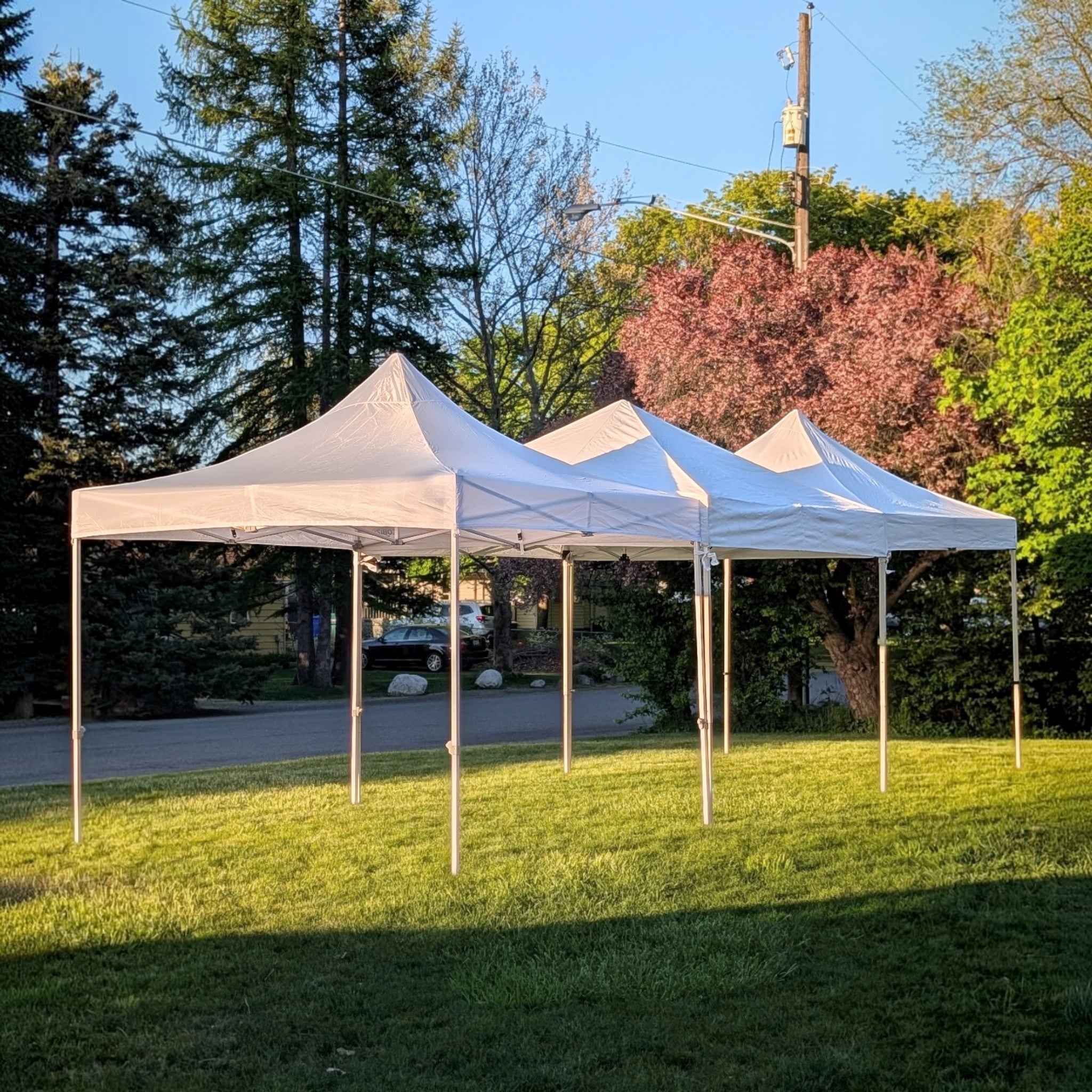 RENTAL - 3 TENTS (10'×10')