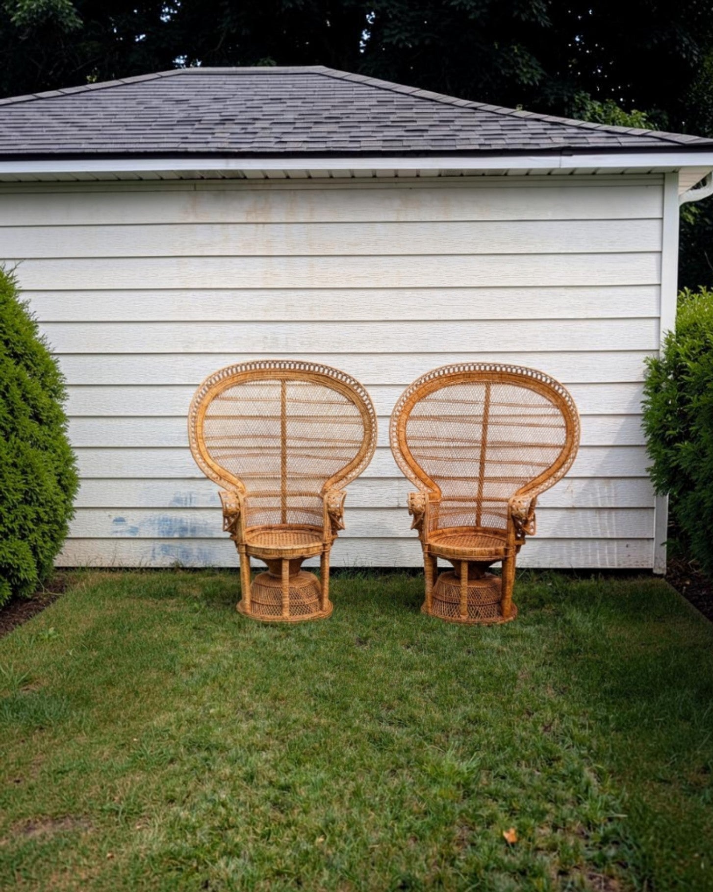 Rental - sweetheart Peacock chairs