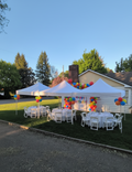 RENTAL -Three 10×10 tents (bundle)