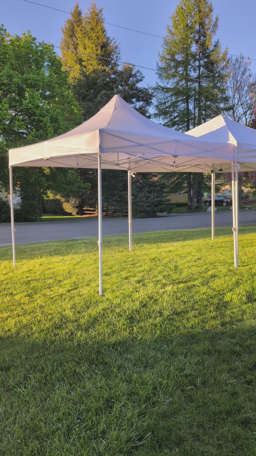 RENTAL -Three 10×10 tents (bundle)